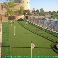 Artificial Grass Carpet Rossmoor, California Landscaping, Backyard Designs