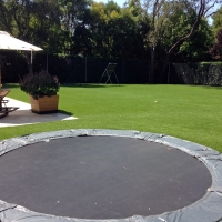 Artificial Grass Carpet Woodland Hills, California Rooftop, Backyard Landscaping