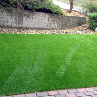 Artificial Turf Van Nuys, California Dog Pound, Backyard