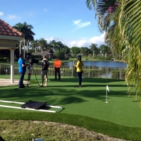 Fake Grass Carpet Midway City, California Home Putting Green, Backyard Design