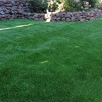 Fake Grass Carpet Mojave, California Dog Parks, Backyard Garden Ideas