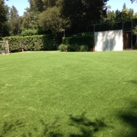 Grass Carpet East Pasadena, California Sports Athority, Backyard Makeover