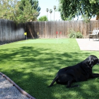 Lawn Services West Whittier-Los Nietos, California Dog Run, Backyard Designs