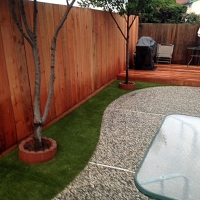 Outdoor Carpet La Palma, California Dog Pound, Backyard Designs