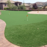 Plastic Grass Florence-Graham, California Backyard Playground