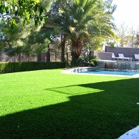 Plastic Grass La Habra, California Home And Garden, Backyard