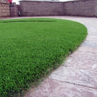 Plastic Grass Pasadena, California Landscaping Business, Front Yard Design