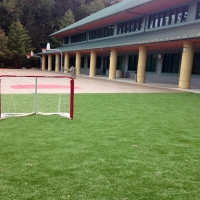 Plastic Grass Santee, California Sports Athority, Commercial Landscape