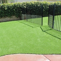 Synthetic Grass Lakewood, California Lawns, Front Yard