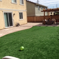 Synthetic Lawn Pasadena, California Rooftop, Backyard Landscaping