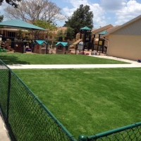 Synthetic Lawn San Marcos, California Landscaping Business, Commercial Landscape