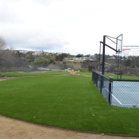 Turf Grass Lynwood, California Landscaping, Commercial Landscape