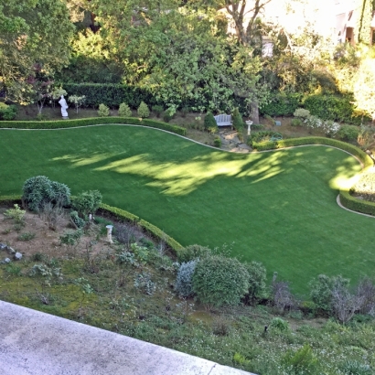 Artificial Grass Carpet Belvedere, California Dog Parks, Backyard Landscaping