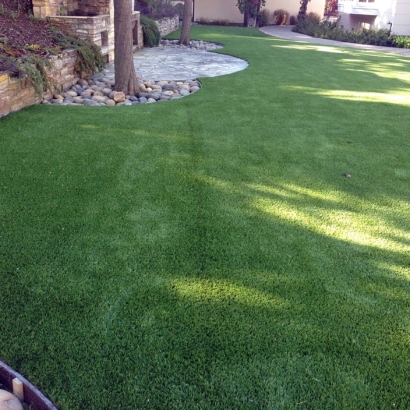 Artificial Grass Carpet Claremont, California Roof Top, Small Backyard Ideas