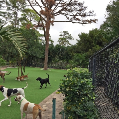 Artificial Grass Carpet Coronado, California Dog Pound, Commercial Landscape