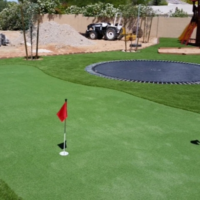 Artificial Grass Carpet Irwindale, California Putting Green, Backyard Makeover