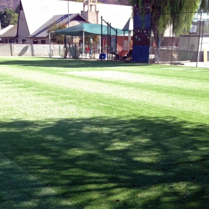 Artificial Grass Carpet Norco, California Rooftop, Parks