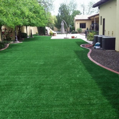 Artificial Grass Carpet Santa Fe Springs, California Design Ideas, Backyards