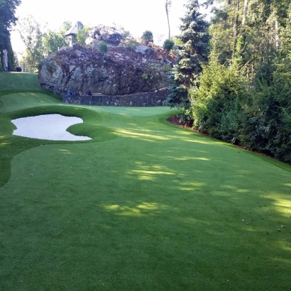 Artificial Grass Carpet Sierra Madre, California Putting Green Carpet, Commercial Landscape