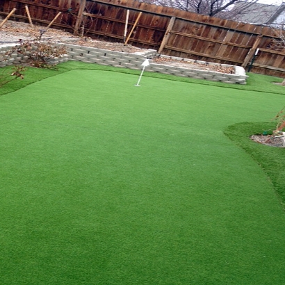 Artificial Grass Carpet Torrance, California Diy Putting Green, Backyard Ideas