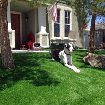 Artificial Grass Installation Oxnard, California Dogs, Small Front Yard Landscaping