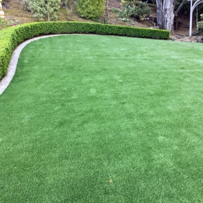 Artificial Grass Installation Whittier, California Landscape Design, Backyard Garden Ideas