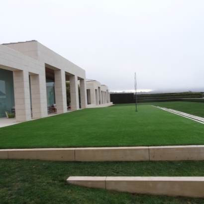 Artificial Grass La Palma, California Design Ideas, Commercial Landscape
