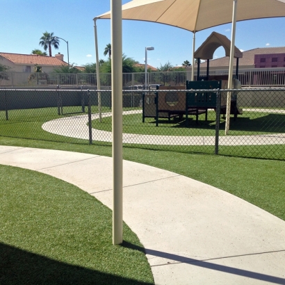 Artificial Grass Lemon Grove, California Landscape Design, Recreational Areas