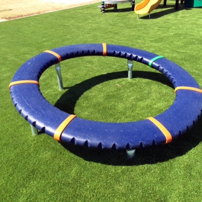 Artificial Grass Santa Monica, California Indoor Playground, Recreational Areas
