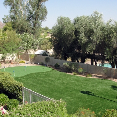 Artificial Grass Valencia, California Landscape Ideas, Backyard Garden Ideas