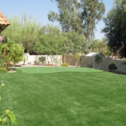 Artificial Grass Valencia, California Landscape Ideas, Backyard Garden Ideas