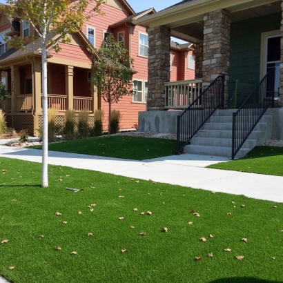 Artificial Lawn Gardena, California Lawns, Small Front Yard Landscaping