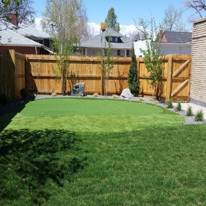 Artificial Lawn Temple City, California Gardeners, Backyard Design