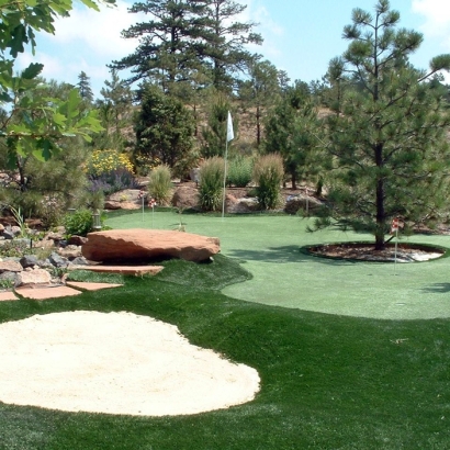 Artificial Turf Cost Golden Hills, California Garden Ideas, Backyard Landscaping Ideas