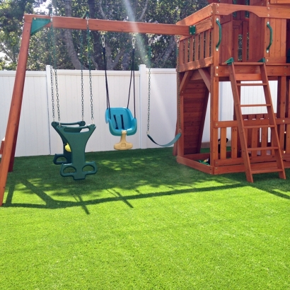 Artificial Turf Cost Toro Canyon, California Roof Top, Backyard Garden Ideas