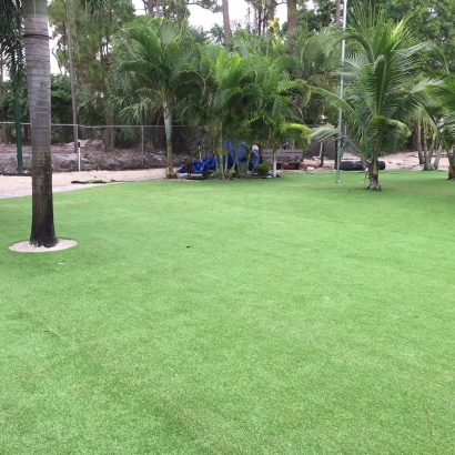 Artificial Turf Cost West Hollywood, California Landscape Rock, Commercial Landscape