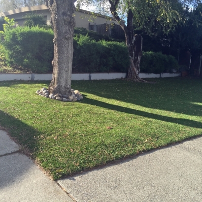 Artificial Turf Installation Cypress, California Landscape Photos, Front Yard Landscape Ideas