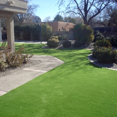Artificial Turf Installation Lennox, California Lawns, Front Yard Landscaping Ideas