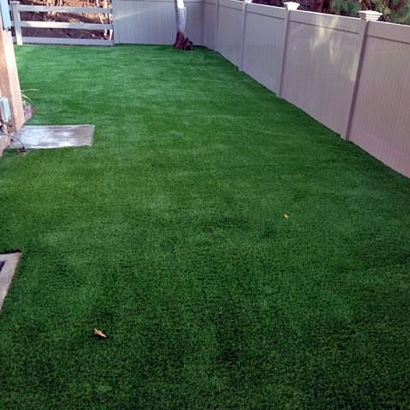 Artificial Turf Installation Solana Beach, California Backyard Playground, Backyard