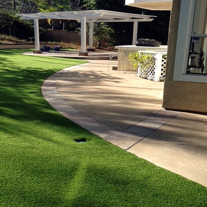 Artificial Turf Ladera Ranch, California Pet Grass, Small Front Yard Landscaping