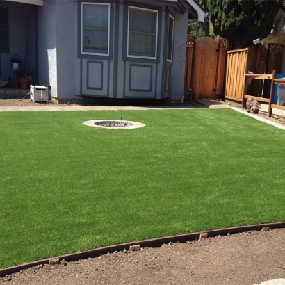 Artificial Turf Maywood, California Landscape Design, Backyard Garden Ideas