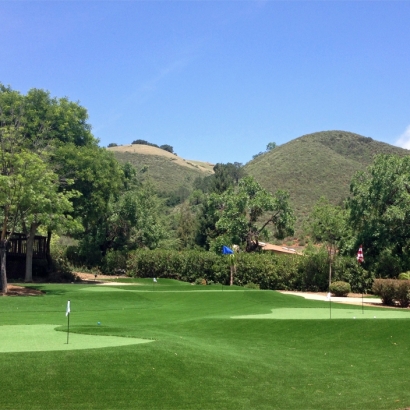 Artificial Turf Mission Viejo, California Backyard Putting Green, Front Yard