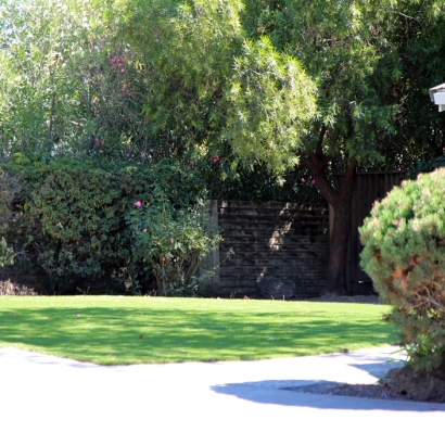 Artificial Turf Montebello, California Pet Turf, Front Yard