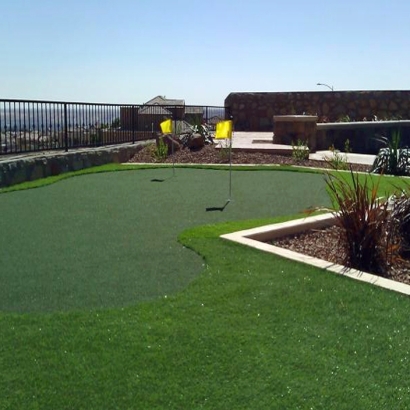 Artificial Turf Newport Beach, California Indoor Putting Greens