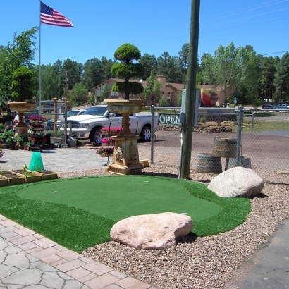 Artificial Turf Sun City, California Indoor Putting Green, Commercial Landscape
