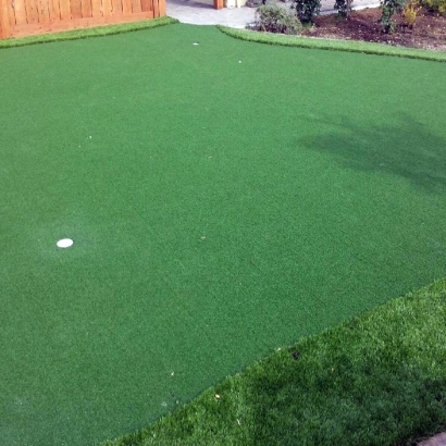 Artificial Turf Trabuco Canyon, California Landscape Ideas