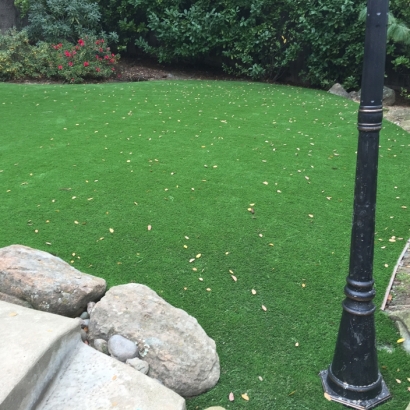 Best Artificial Grass Anaheim, California City Landscape, Backyard Landscaping