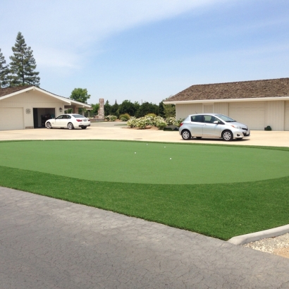 Best Artificial Grass Chatsworth, California Landscaping, Front Yard Landscaping Ideas