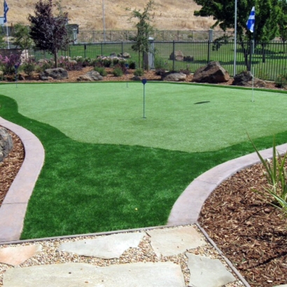 Best Artificial Grass Winter Gardens, California Lawns, Backyard Garden Ideas