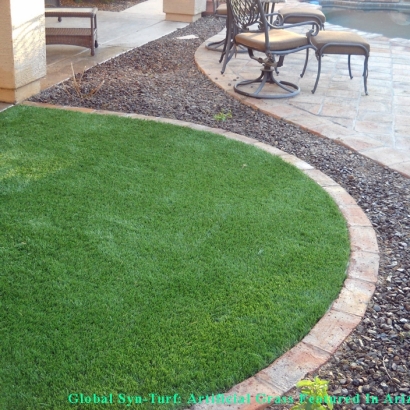 Fake Grass Carpet Artesia, California Pictures Of Dogs, Front Yard Ideas